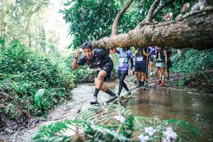 BIB: 
                            <button type="button" onclick="openModal(25474229)" class="btn btn-primary btn-sm float-right btn-popup" data-toggle="modal" data-target=".modal-high-quality">
                        <i class="fas fa-shopping-cart"></i> Add to Cart
                    </button>
                                            <button type="button" onclick="isThisMe(25474229, true)" class="btn btn-success btn-sm float-right btn-popup btn-isme hidden" data-toggle="tooltip" data-placement="bottom" title="นี่คือรูปของคุณใช่ไหม คลิกที่นี่เพื่อเอาเข้าอัลบั้ม">
                        <i class="fas fa-plus"></i> Add to album
                    </button>
                    <button type="button" onclick="isThisMe(25474229, false)" class="btn btn-warning btn-sm float-right btn-popup btn-isnotme hidden">
                        <i class="fas fa-ban"></i> Remove from album
                    </button>